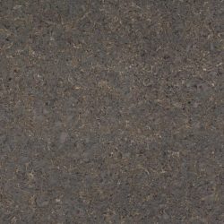 Copper Mist quartz countertop