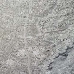 2331629494