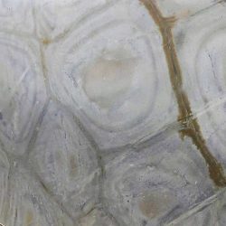 Illusion quartzite countertops